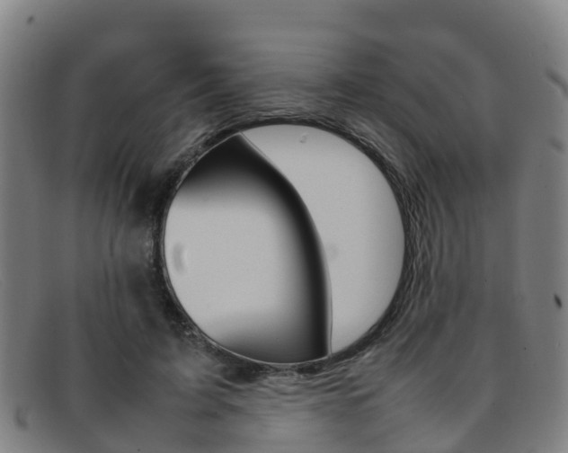 X0000092070595200709121027