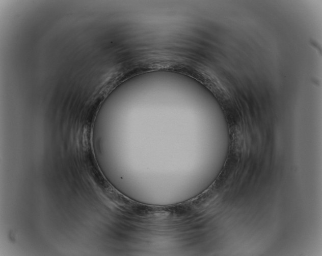 X0000092070598200709121027