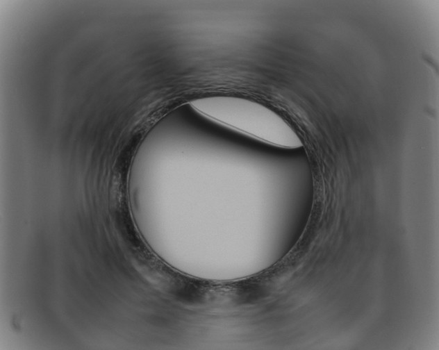 X0000092070599200709121027