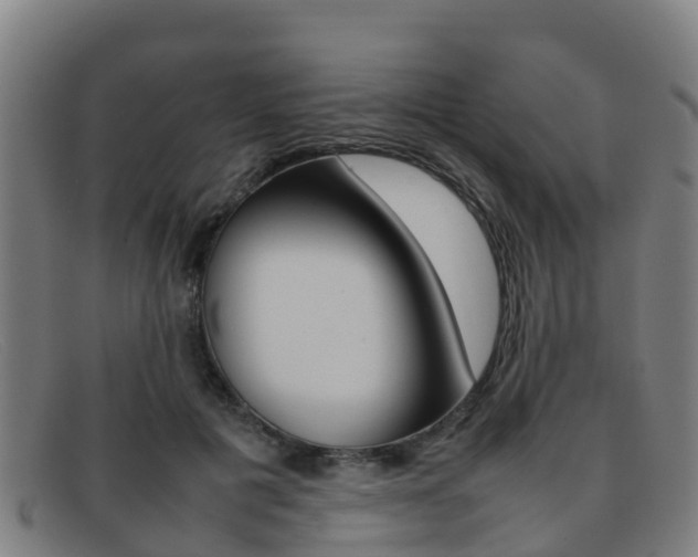 X0000092070601200709121027