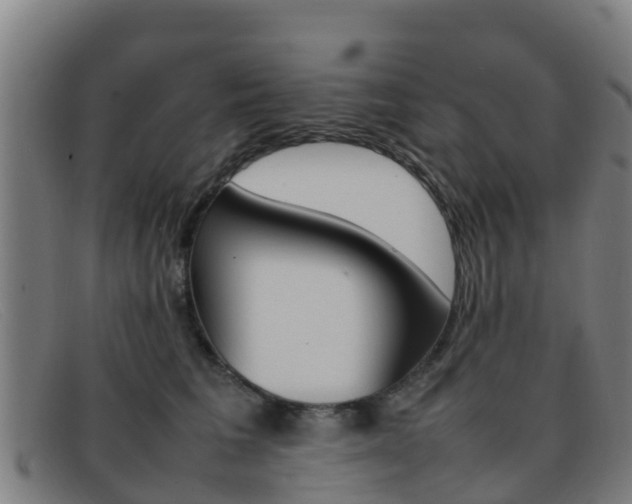 X0000092070613200709121027