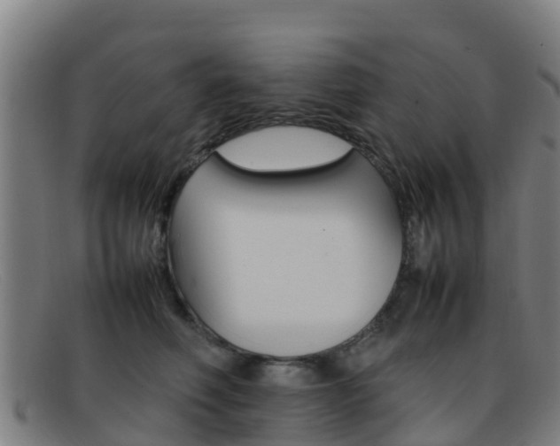 X0000092070614200709121027