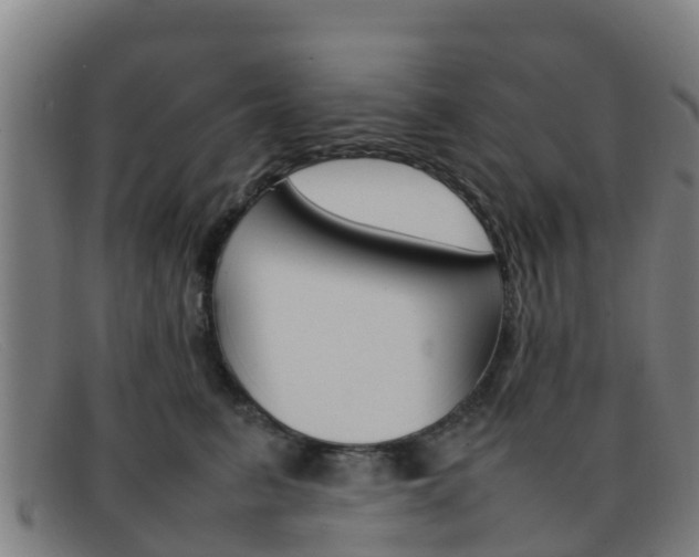 X0000092070615200709121027