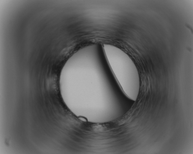 X0000092070616200709121027
