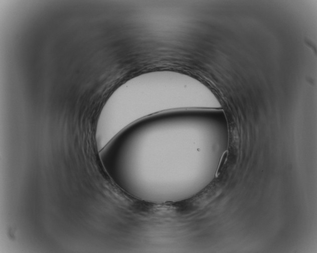 X0000092070617200709121027
