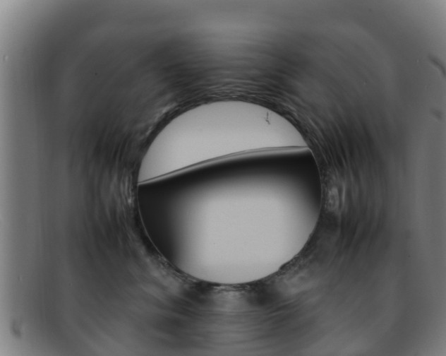 X0000092070620200709121027