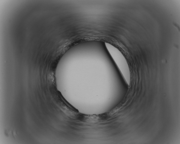X0000092070621200709121027