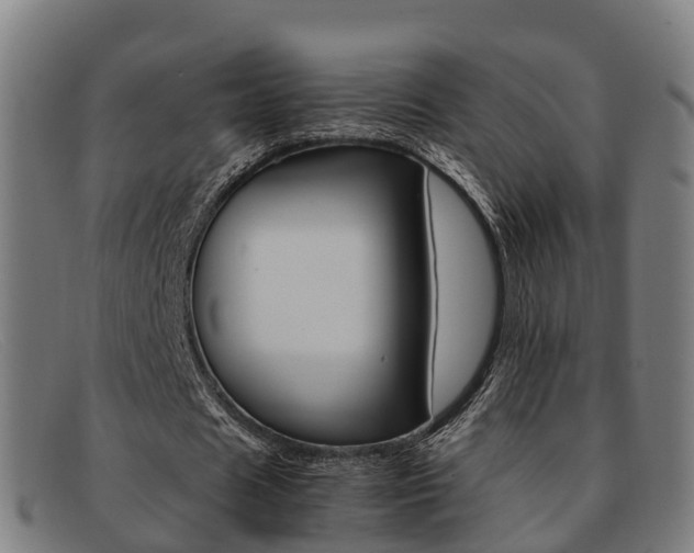 X0000092070625200709121026