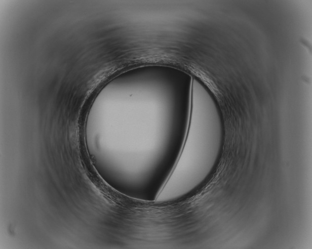 X0000092070626200709121026