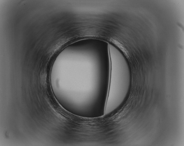 X0000092070627200709121026
