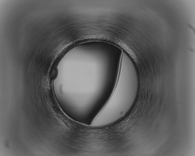 X0000092070628200709121026
