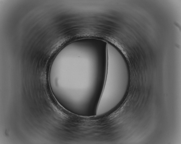 X0000092070629200709121026