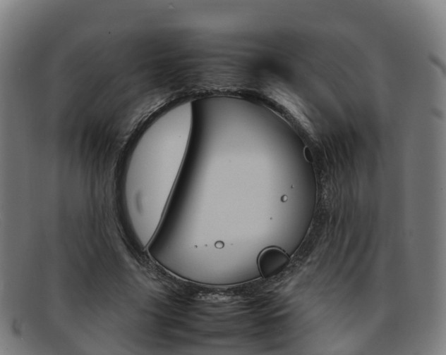 X0000092070635200709121026