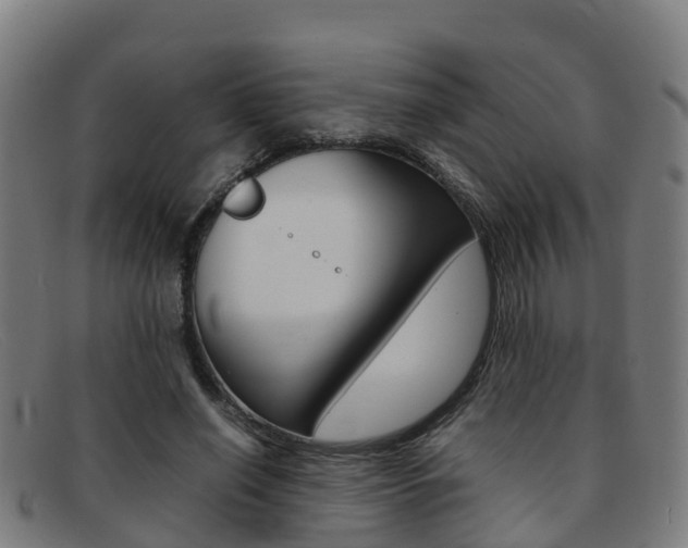 X0000092070638200709121026