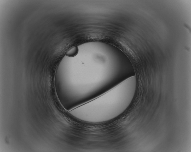 X0000092070639200709121026