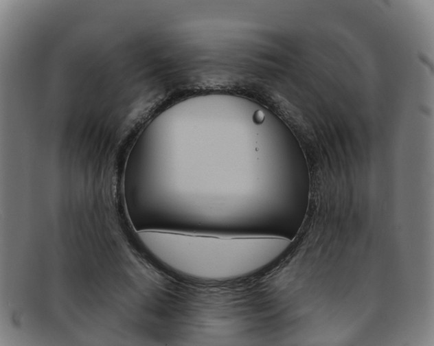 X0000092070640200709121026