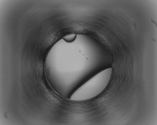 X0000092070642200709121026