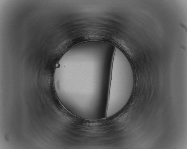 X0000092070645200709121026