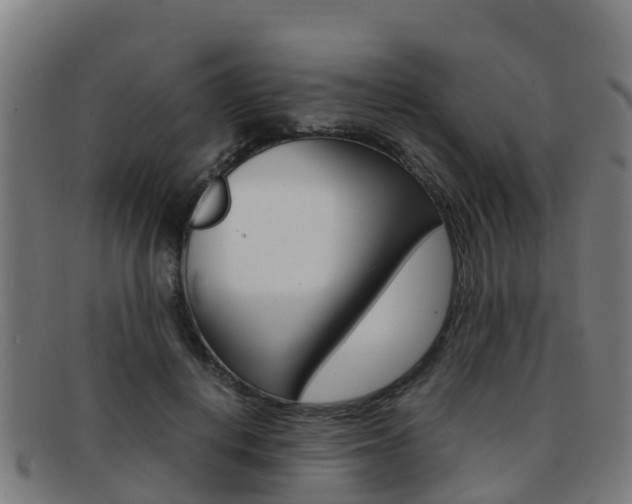 X0000092070648200709121026