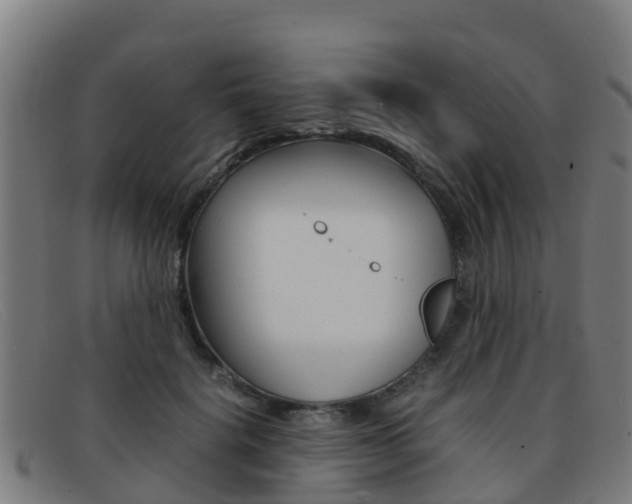 X0000092070652200709121026