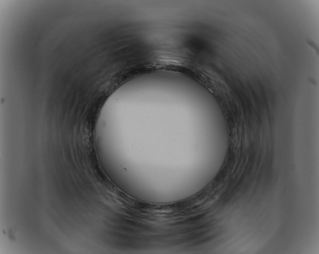 X0000092070653200709121026