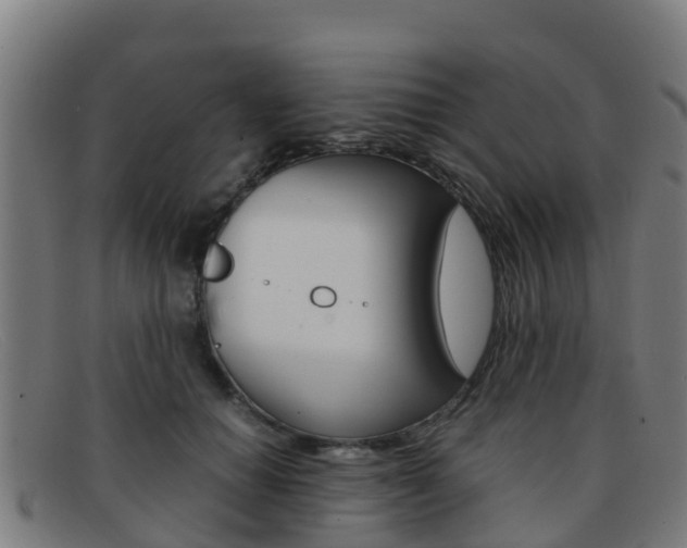 X0000092070654200709121026
