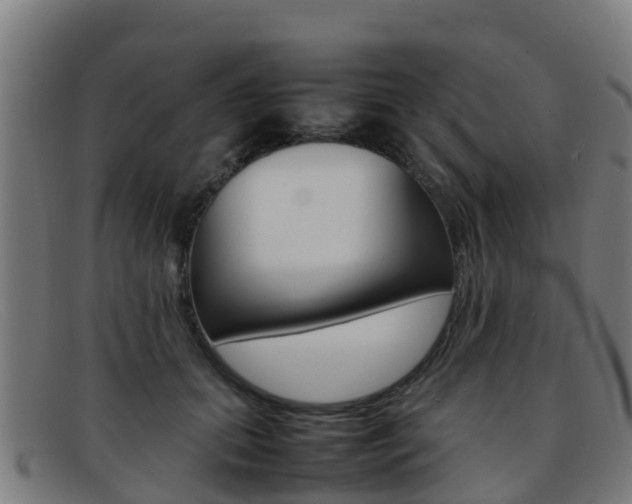X0000092070655200709121026