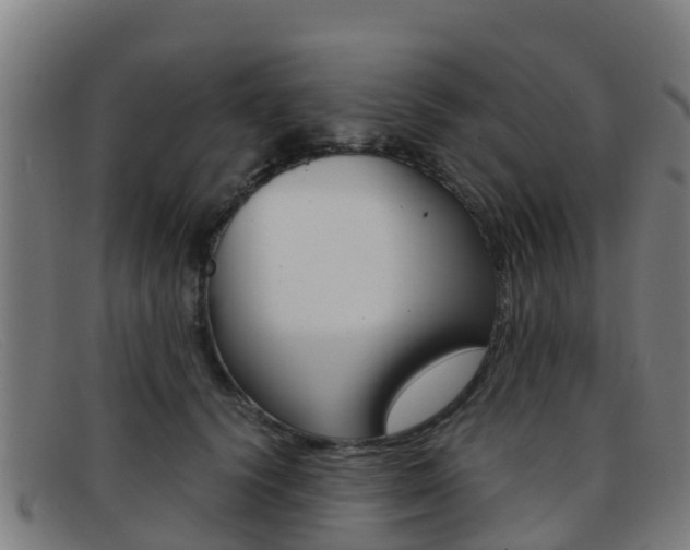 X0000092070656200709121026