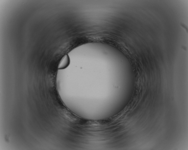 X0000092070658200709121027