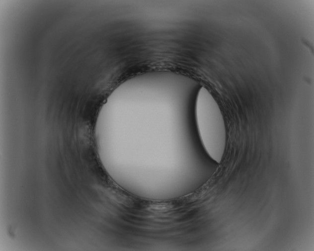 X0000092070659200709121027