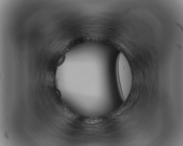 X0000092070661200709121027