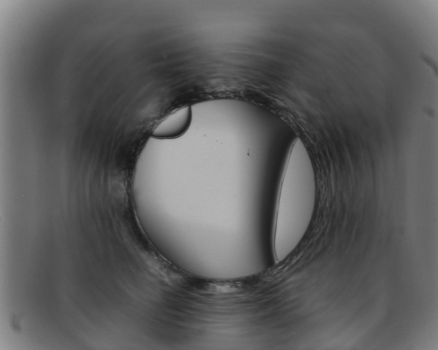 X0000092070662200709121027