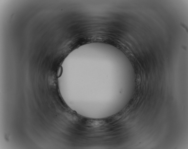 X0000092070663200709121027