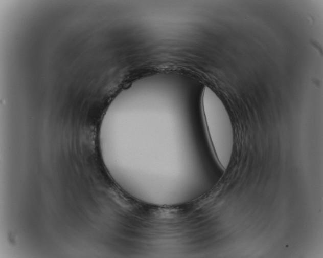 X0000092070664200709121027