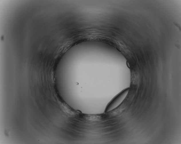 X0000092070670200709121027