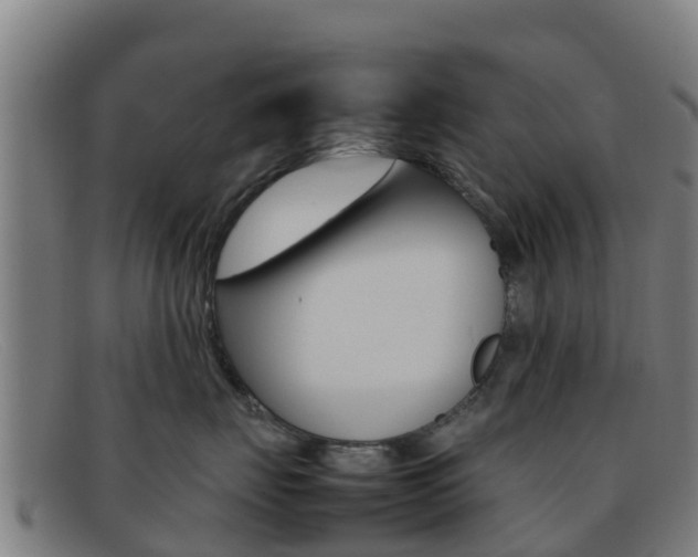 X0000092070671200709121027