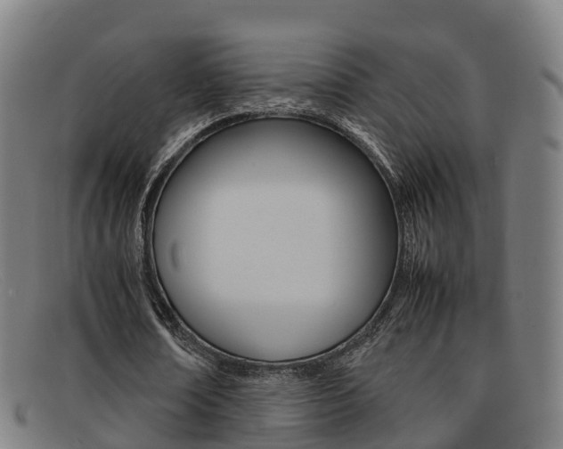 X0000092070674200709121026