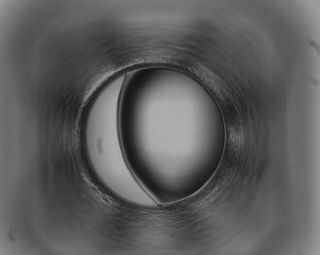 X0000092070676200709121026
