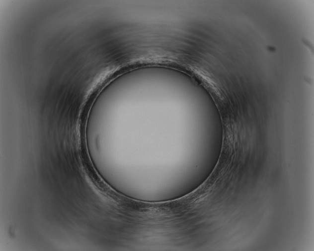 X0000092070678200709121026