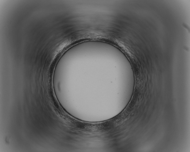 X0000092070679200709121026