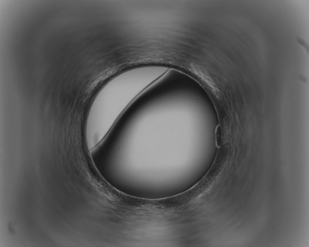 X0000092070681200709121026