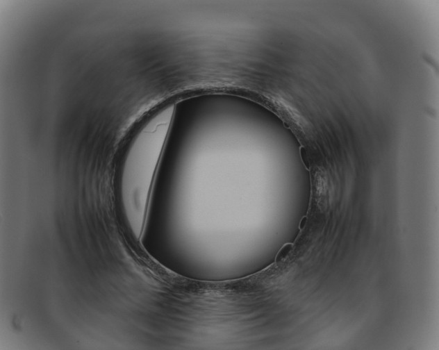 X0000092070684200709121026