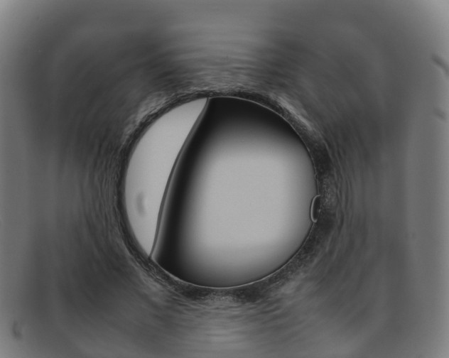 X0000092070685200709121026