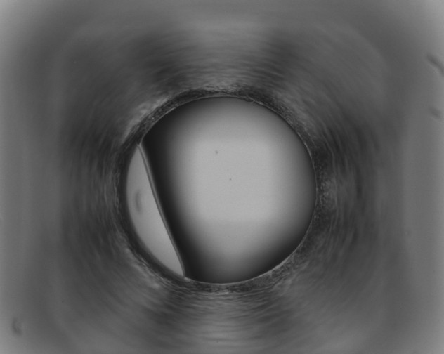 X0000092070688200709121026
