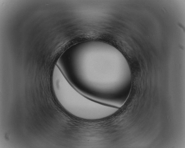 X0000092070689200709121026