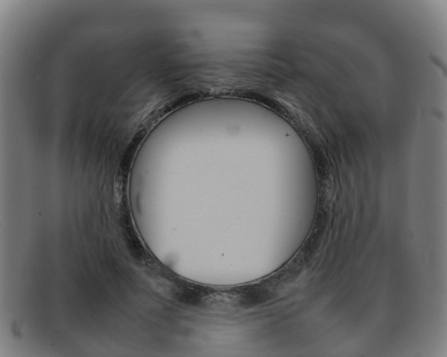 X0000092070691200709121026
