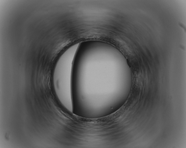 X0000092070692200709121026