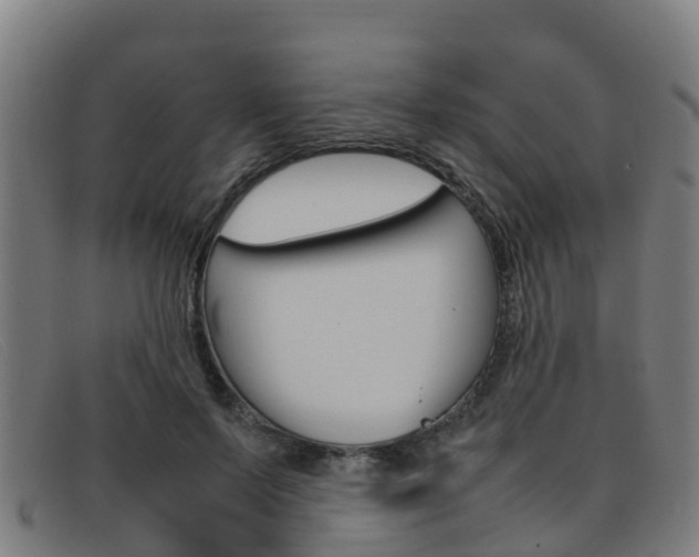 X0000092070695200709121026