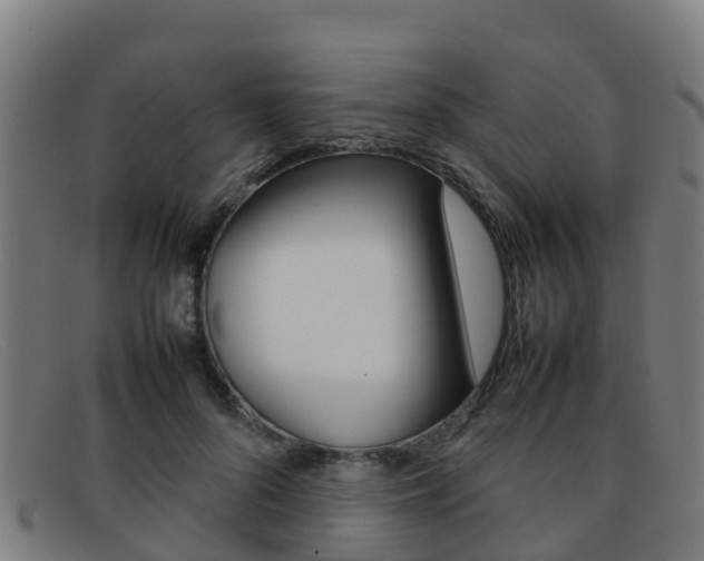 X0000092070696200709121026