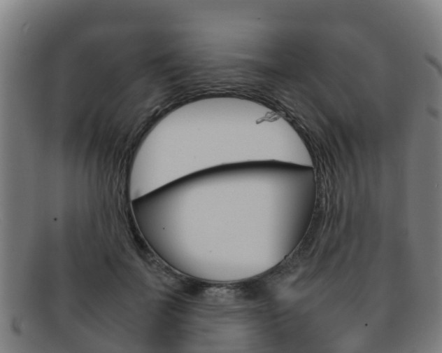 X0000092070699200709121026